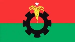 স্থানীয় সরকার নির্বাচনে একক প্রার্থী দেবে বিএনপি